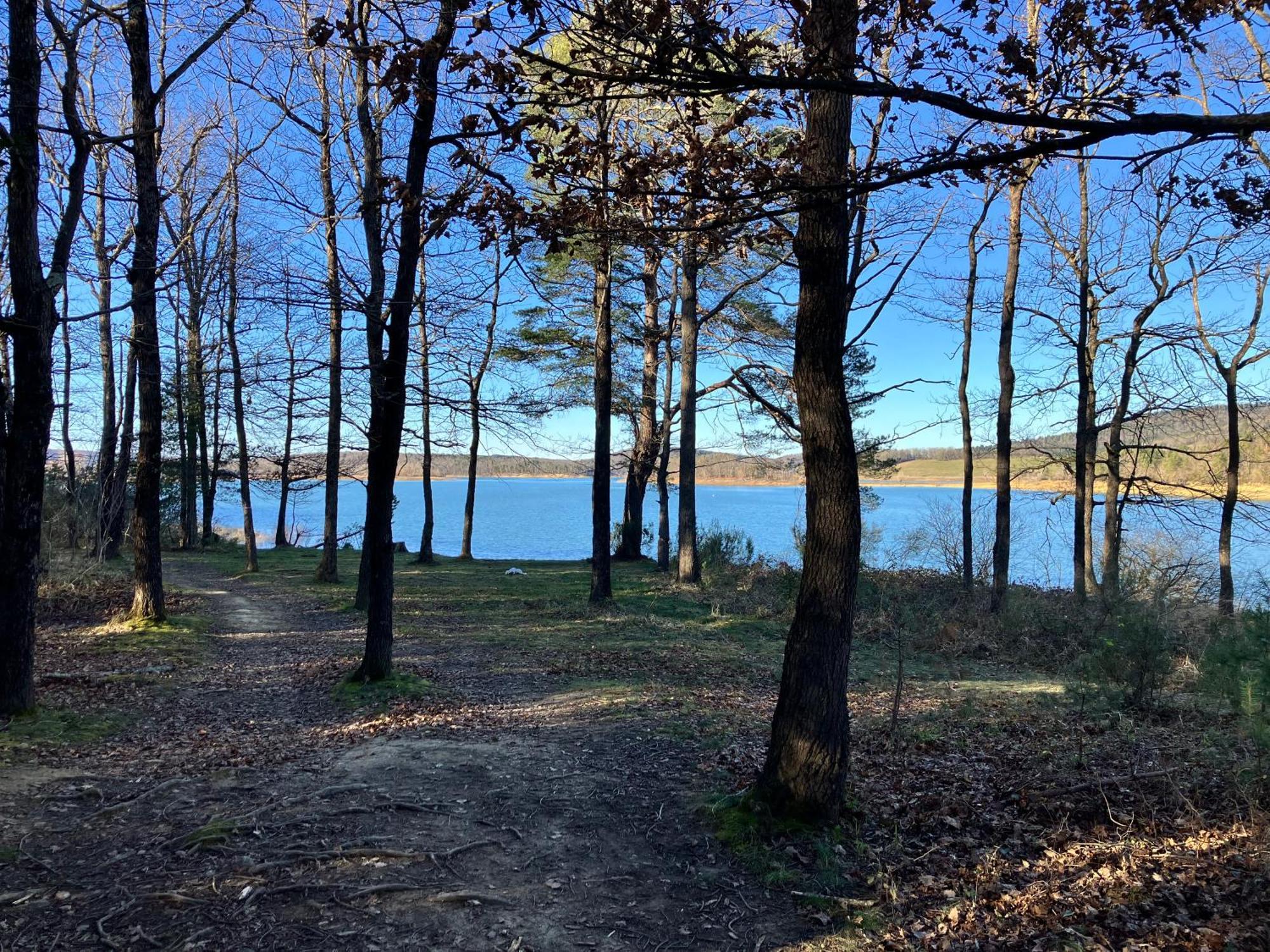 Maison Avec Vue Sur Le Lac De Montbel Extérieur photo